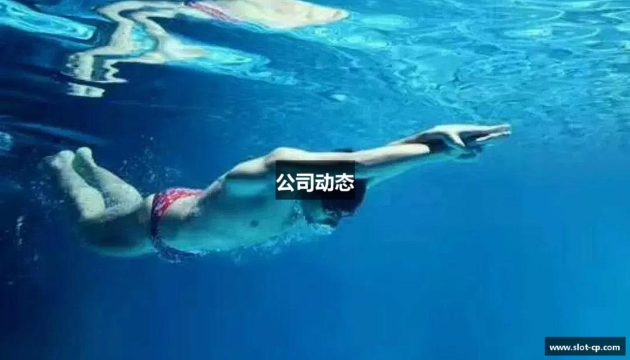 公司动态